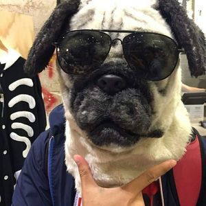 Meet your Posher, Narongrit